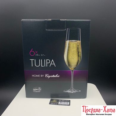 Бокал/шампанское набор 6Х170мл Tulipa Bohemia - b40894/170 b40894/170 фото