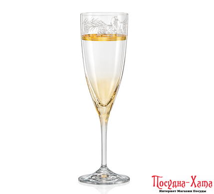 Бокал для шампанского набор 2Х220мл. Excelsior Bohemia - b40796-Q9468/220 b40796-Q9468/220 фото