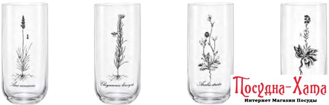 Склянка набір 4Х440мл. Herbal Bohemia - b25287-S1742 b25287-S1742 фото