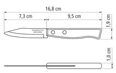 Набори ножів TRAMONTINA TRADICIONAL ніж д/овочей 76мм - 60шт стікер (22210/403)