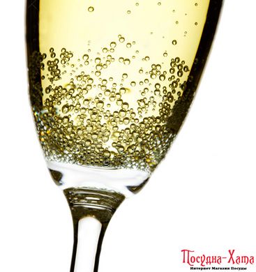 Келих для шампанського набір 2Х190мл. BISTRO PASABAHCE - 44419-2 44419-2 фото