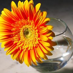 Ваза для квітів 102 мм. Flora Pasabahce - 43417-1 43417-1 фото