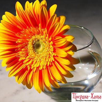 Ваза для квітів 102 мм. Flora Pasabahce - 43417-1 43417-1 фото