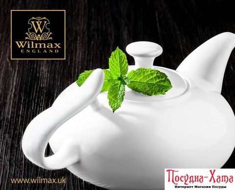 Wilmax Заварочный чайник 800мл Color WL-994029 WL-994029 фото